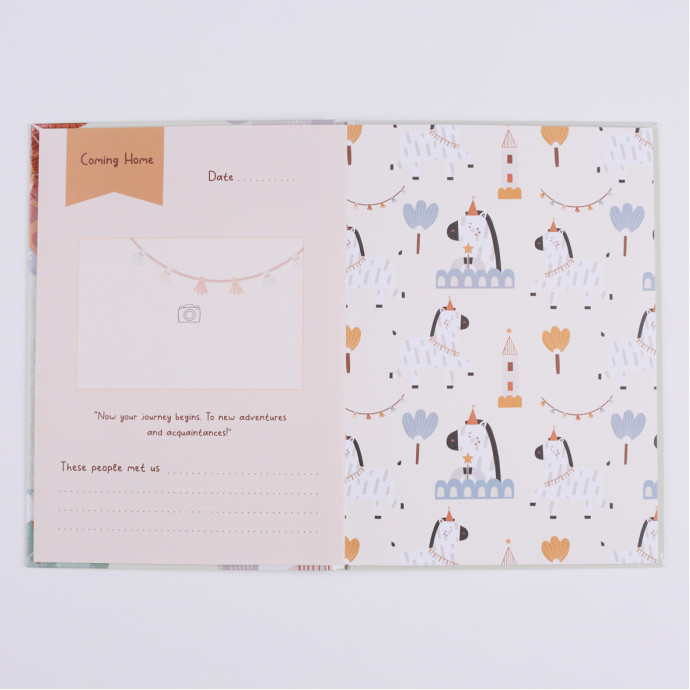 Альбом для малюка на перший рік 