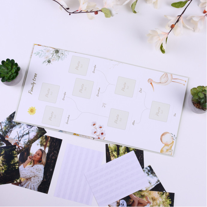 Дитяча метрика та дитячий альбом Little Universe