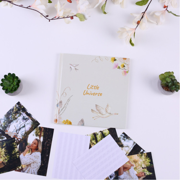 Дитяча метрика, Дитячий альбом little Universe