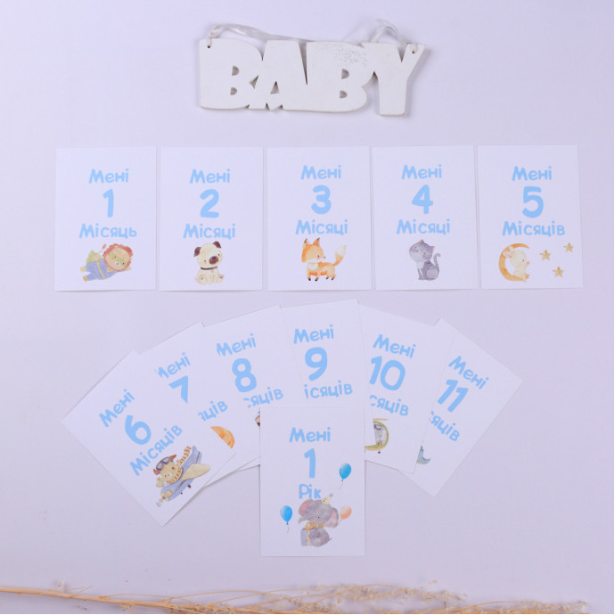 Набір розвиваючих карток для фотосесій голубі (Fotobook-0061)