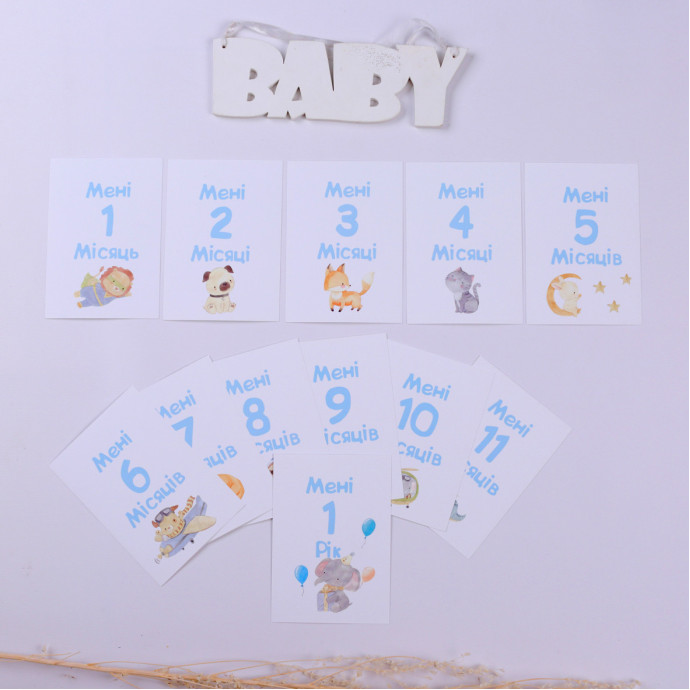 Набір розвиваючих карток для фотосесій голубі (Fotobook-0061)