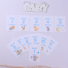 Набір розвиваючих карток для фотосесій голубі (Fotobook-0061)