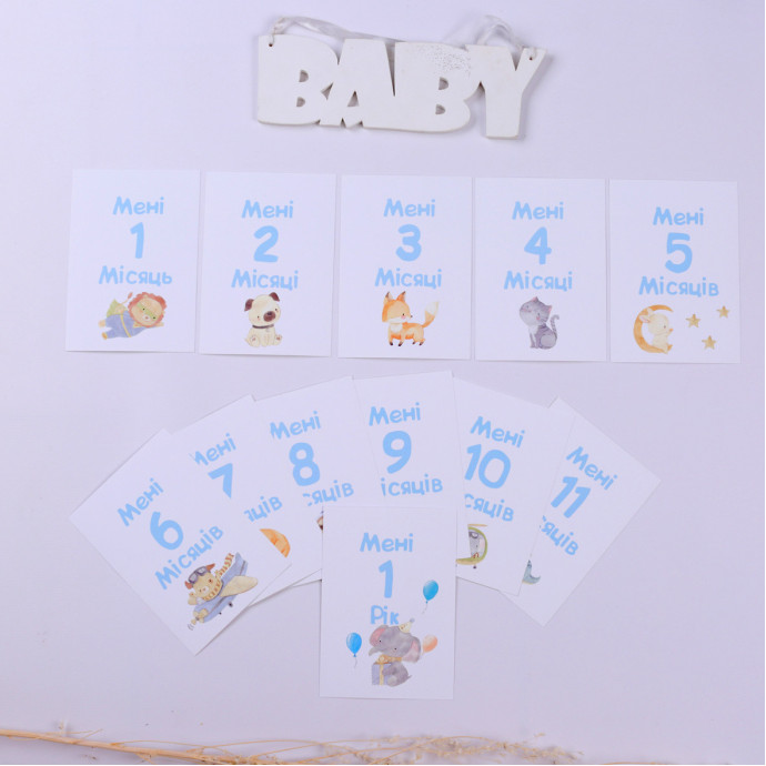 Набір розвиваючих карток для фотосесій голубі (Fotobook-0061)