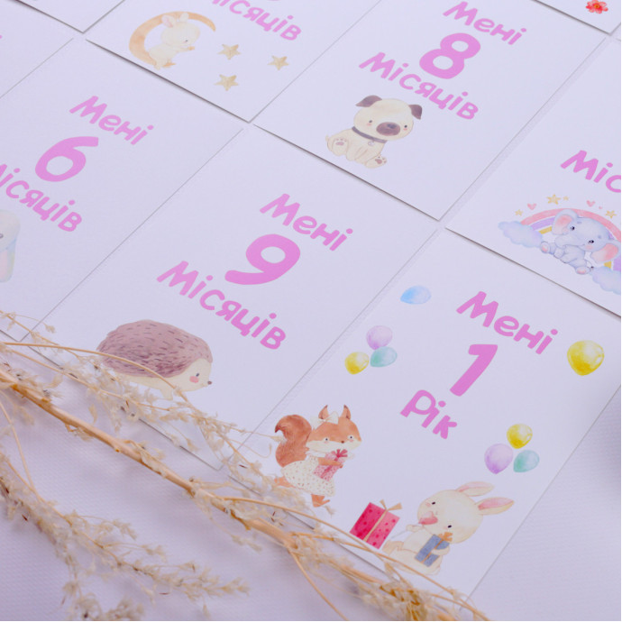 Картки для щомісячної фотосесії вашого малюка для дівчинки (Fotobook-0063)