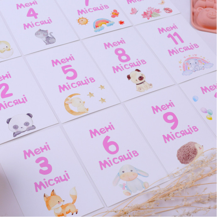 Картки для щомісячної фотосесії вашого малюка для дівчинки (Fotobook-0063)